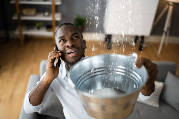 Best Water damage contractors near me  in Bonifay, FL