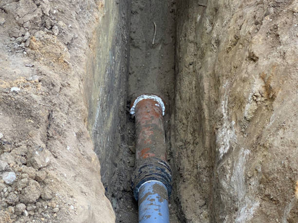 Best Flood damage cleanup  in Bonifay, FL