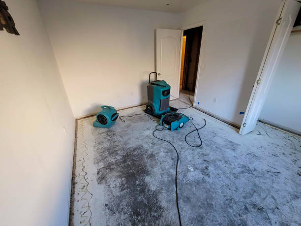 Best Water damage cleanup near me  in Bonifay, FL