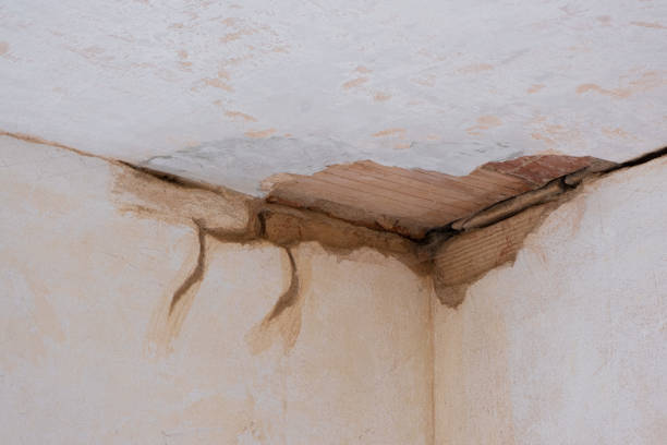 Best Residential water damage restoration  in Bonifay, FL