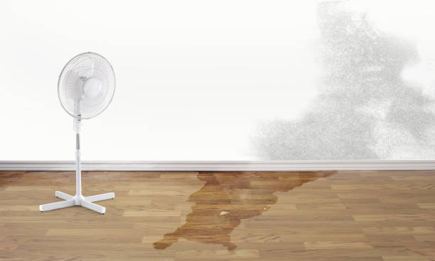 Best Water damage restoration company  in Bonifay, FL