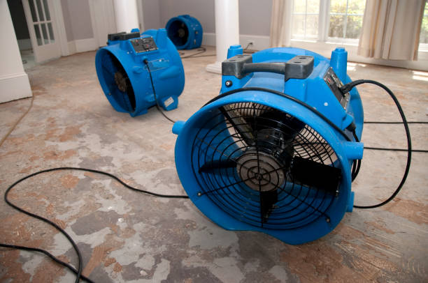 Best 24-hour water damage restoration  in Bonifay, FL