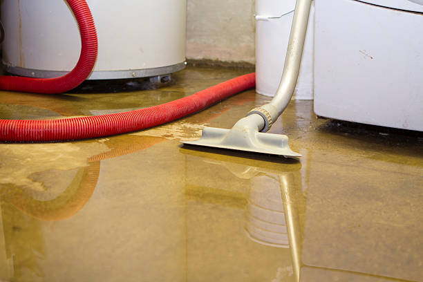 Best Mold removal after water damage  in Bonifay, FL