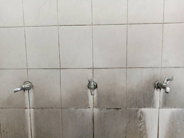 Best Water damage restoration near me  in Bonifay, FL