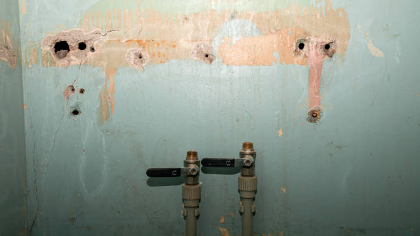 Best Ceiling water damage repair  in Bonifay, FL